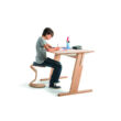 ERCOLINE MEDIUM 1181 96, 30311 3D mozgású egyensúlyi szék